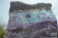 Polished Watermelon Fluorite Slices x 2 From Uis, Namibia