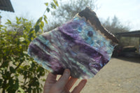 Polished Watermelon Fluorite Slices x 2 From Uis, Namibia