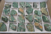 Natural Jade Cobbed Specimens x 24 From Swaziland