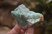 Natural Jade Cobbed Specimens x 24 From Swaziland