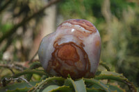 Polished Polychrome Jasper Hearts x 6 From Mahajanga, Madagascar