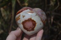 Polished Polychrome Jasper Hearts x 6 From Mahajanga, Madagascar