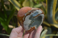 Polished Polychrome Jasper Hearts x 6 From Mahajanga, Madagascar