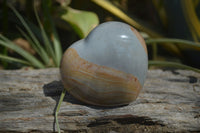 Polished Polychrome Jasper Hearts x 6 From Mahajanga, Madagascar