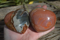 Polished Polychrome Jasper Hearts x 6 From Mahajanga, Madagascar