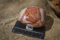 Polished Polychrome Jasper Hearts x 6 From Mahajanga, Madagascar