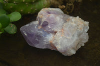 Natural Jacaranda Amethyst Clusters x 6 From Mumbwa, Zambia