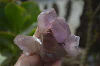 Natural Jacaranda Amethyst Clusters x 6 From Mumbwa, Zambia