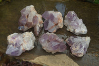 Natural Jacaranda Amethyst Clusters x 6 From Mumbwa, Zambia