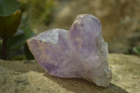 Natural Jacaranda Amethyst Clusters x 6 From Mumbwa, Zambia