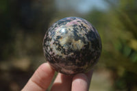 Polished Rhodonite Spheres x 6 From Ambindavato, Madagascar