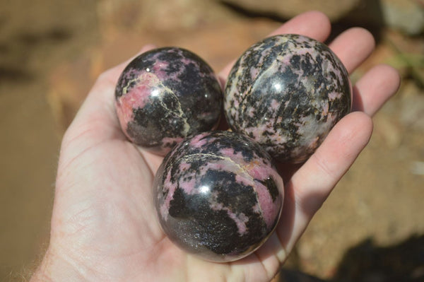 Polished Rhodonite Spheres x 6 From Ambindavato, Madagascar