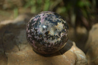 Polished Rhodonite Spheres x 6 From Ambindavato, Madagascar