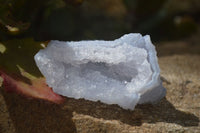 Natural Etched Blue Chalcedony Specimens x 12 From Nsanje, Malawi