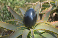 Polished Black Basalt Eggs x 6 From Antsirabe, Madagascar