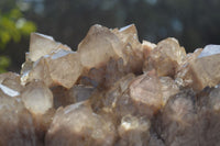 Natural Smokey Quartz Cluster x 1 From Luena, Congo