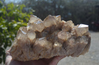 Natural Smokey Quartz Cluster x 1 From Luena, Congo