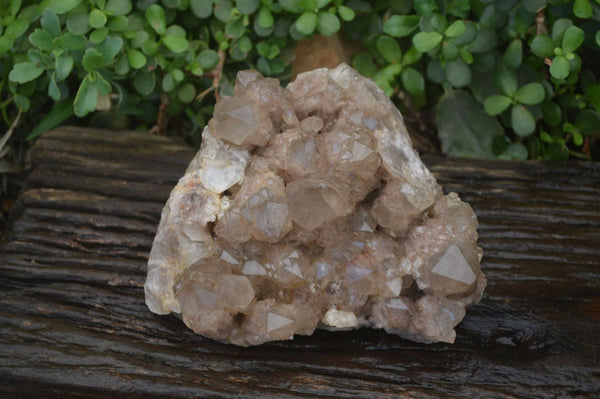 Natural Smokey Quartz Cluster x 1 From Luena, Congo