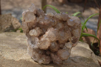 Natural Smokey Quartz Cluster x 1 From Luena, Congo