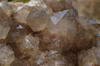 Natural Smokey Quartz Cluster x 1 From Luena, Congo