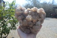 Natural Smokey Quartz Cluster x 1 From Luena, Congo