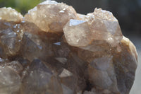 Natural Smokey Quartz Cluster x 1 From Luena, Congo