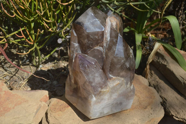 Polished Smokey Amethyst Window Quartz Cluster x 1 From Madagascar