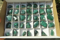 Polished Flower Banded Malachite Free Forms x 35 From Congo