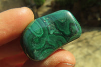 Polished Flower Banded Malachite Free Forms x 35 From Congo