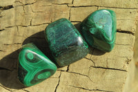 Polished Flower Banded Malachite Free Forms x 35 From Congo