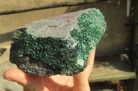 Natural Libethenite Crystals On Dolomite Matrix Specimens x 3 From Shituru, Congo