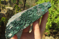 Natural Libethenite Crystals On Dolomite Matrix Specimens x 3 From Shituru, Congo