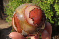 Polished Polychrome Jasper Spheres x 3 From Mahajanga, Madagascar