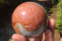 Polished Polychrome Jasper Spheres x 3 From Mahajanga, Madagascar