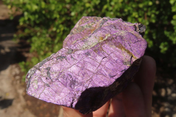 Natural Metallic Purpurite Cobbed Specimens x 6 From Erongo, Namibia