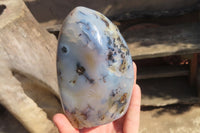 Polished Dendritic Agate Standing Free Forms x 2 From Madagascar