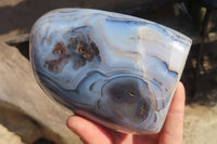 Polished Dendritic Agate Standing Free Forms x 2 From Madagascar