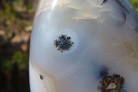 Polished Dendritic Agate Standing Free Forms x 2 From Madagascar