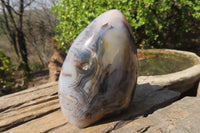 Polished Dendritic Agate Standing Free Forms x 2 From Madagascar