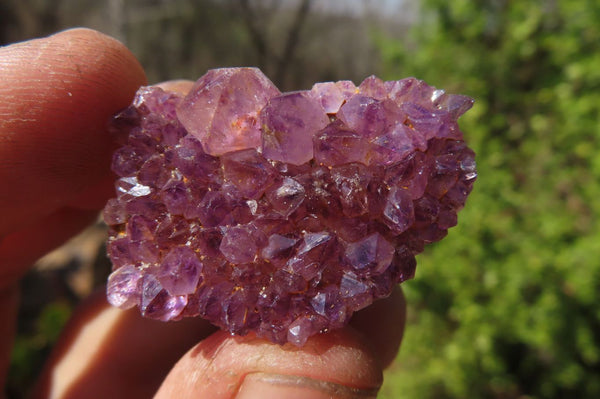 Natural Amethystos Amethyst Specimens x 35 From Kwaggafontein, South Africa