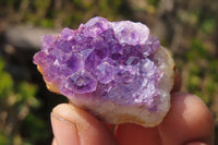 Natural Amethystos Amethyst Specimens x 35 From Kwaggafontein, South Africa