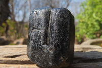 Natural Alluvial Schorl Black Tourmaline Crystals x 12 From Zimbabwe