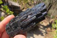 Natural Alluvial Schorl Black Tourmaline Crystals x 12 From Zimbabwe