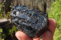 Natural Alluvial Schorl Black Tourmaline Crystals x 12 From Zimbabwe