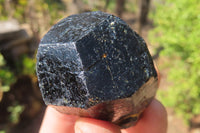 Natural Alluvial Schorl Black Tourmaline Crystals x 12 From Zimbabwe