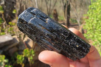 Natural Alluvial Schorl Black Tourmaline Crystals x 12 From Zimbabwe