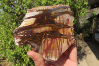 Polished On One Side Nguni Jasper Specimens x 2 From Prieska, South Africa