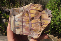 Polished On One Side Nguni Jasper Specimens x 2 From Prieska, South Africa