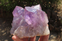 Natural Jacaranda Amethyst Clusters x 3 From Mumbwa, Zambia