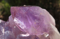 Natural Jacaranda Amethyst Clusters x 3 From Mumbwa, Zambia